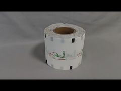 कागज की फिल्म