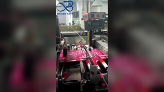 प्लास्टिक कस्टम स्टैंड अप पाउच कस्टम प्रिंट ब्रांड स्नैक स्टोरेज पाउच