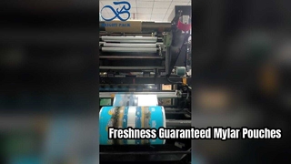 प्रिंटेड मायलर पाउच एयरटाइट फूड ग्रेड रीसीलेबल स्टोरेज पाउच