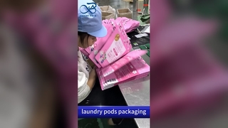 लॉन्ड्री पॉड्स प्लास्टिक जिपर बैग: चाइल्ड प्रूफ नमी-प्रूफ B2B थोक कस्टम