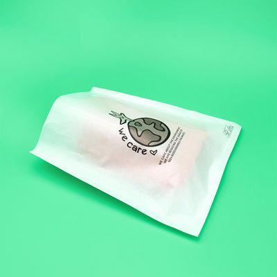 परिधान के लिए पारदर्शी शीशी बैग पर्यावरण के अनुकूल आत्म चिपकने वाला