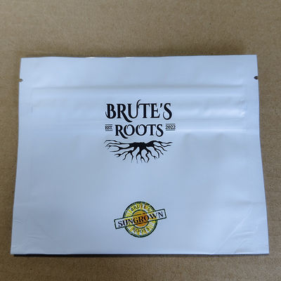 समायोज्य बाल-सबूत यात्रा आयोजक बैग छेड़छाड़-प्रमाणित ज़िपर और आरएफआईडी ट्रैकिंग